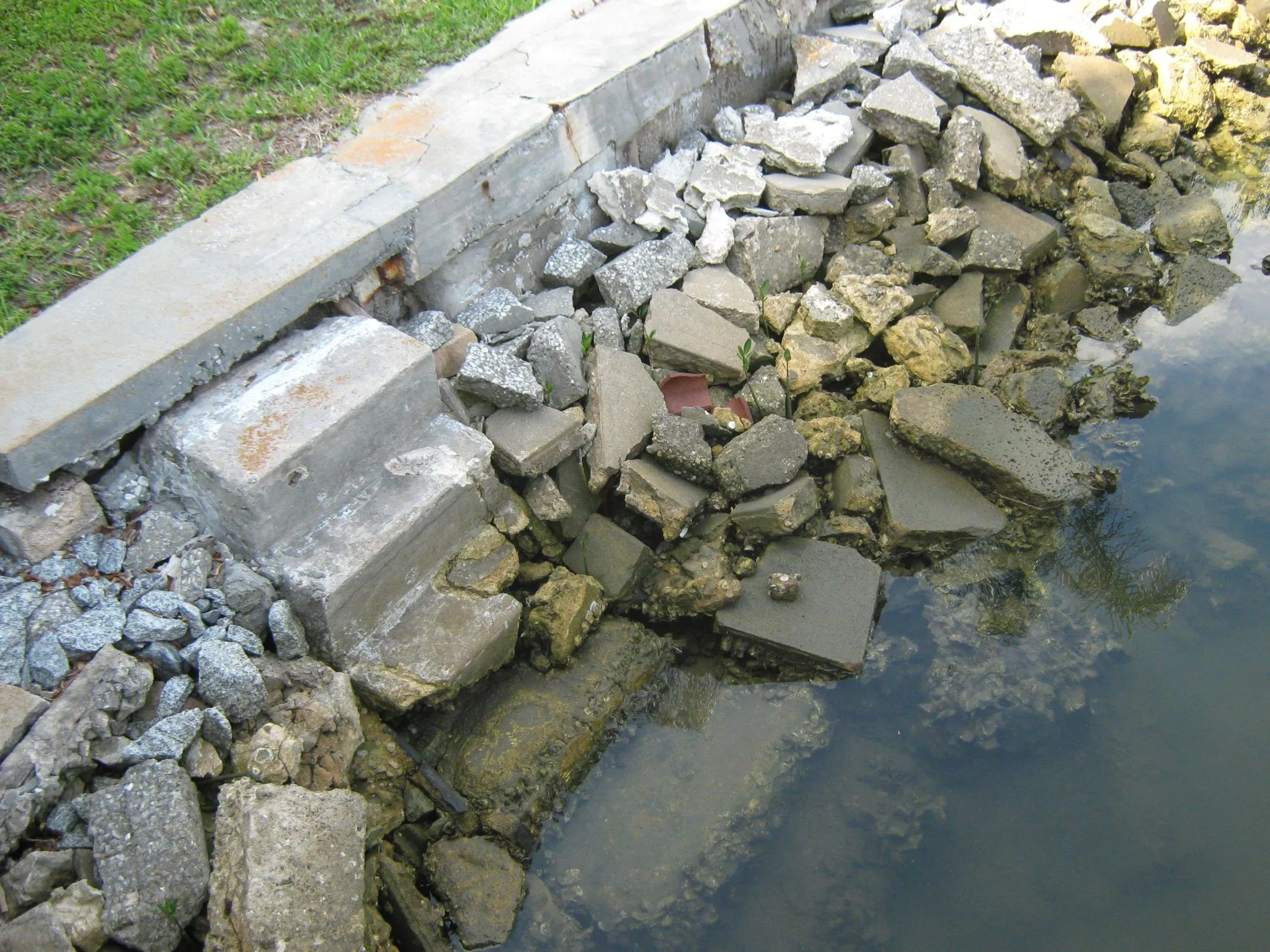 Seawall Repair Professionals in Wildwood