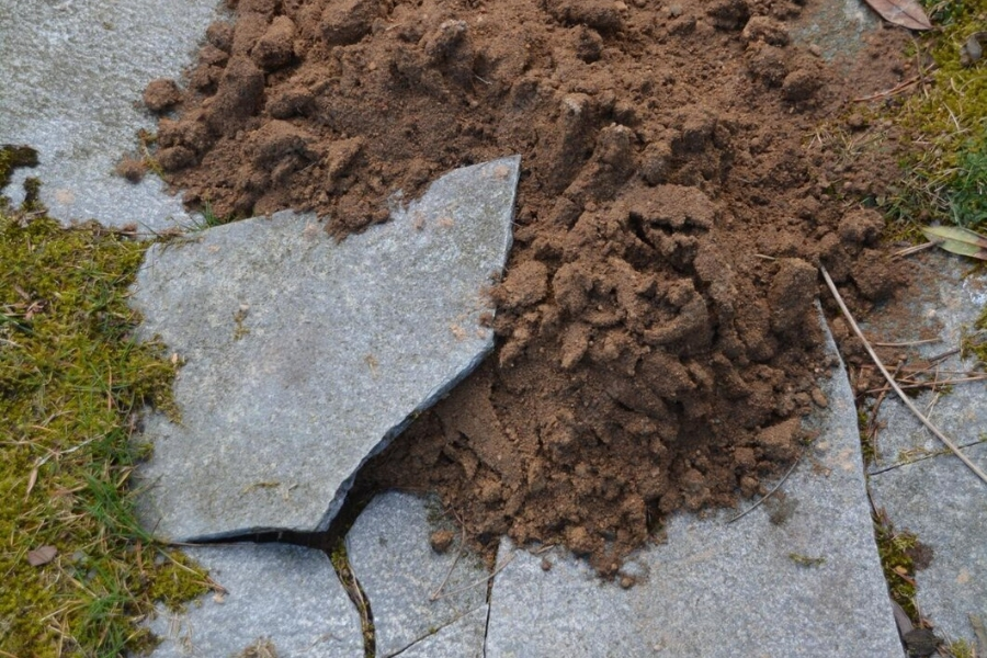 Soil Stabilization Services in Wildwood